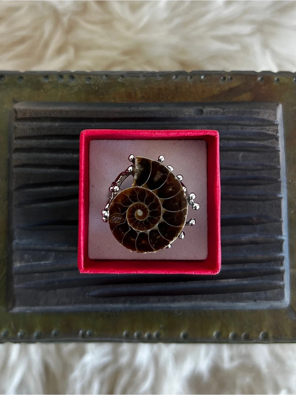 Handcrafted Brown Ammonite Shell Ring in Silver Setting